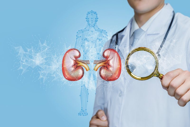 Kidney and Bladder Health Solutions with a Urologist in Spring, TX